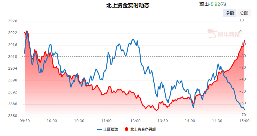 强哥论市20240129