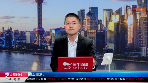 张盛华：市场动态与未来趋势