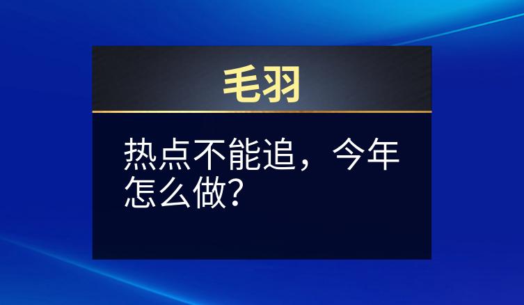 毛羽：热点不能追，今年怎么做？