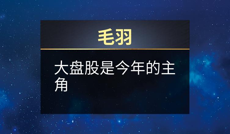 毛羽：大盘股是今年的主角