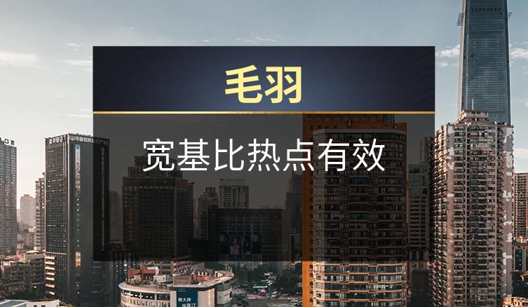 毛羽：宽基比热点有效