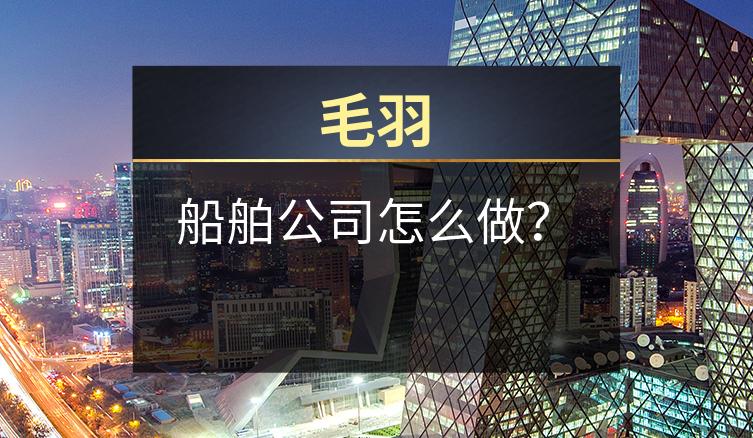 毛羽：船舶公司怎么做？