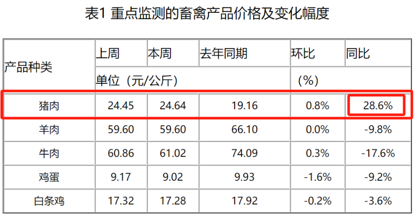 猪肉涨价！新一轮猪周期来了？