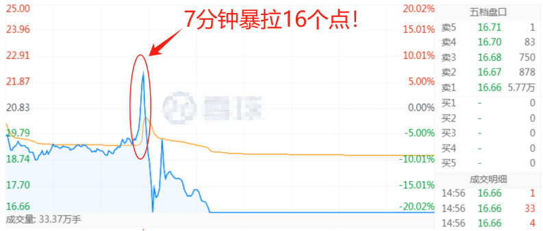 揭秘“杀猪盘”！一天亏超25%！