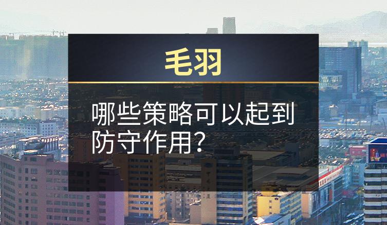 毛羽：哪些策略可以起到防守作用？