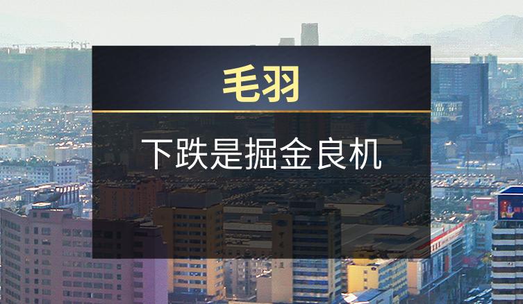 毛羽：下跌是掘金良机