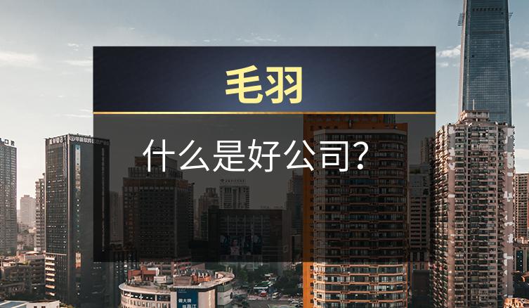 毛羽：什么是好公司？