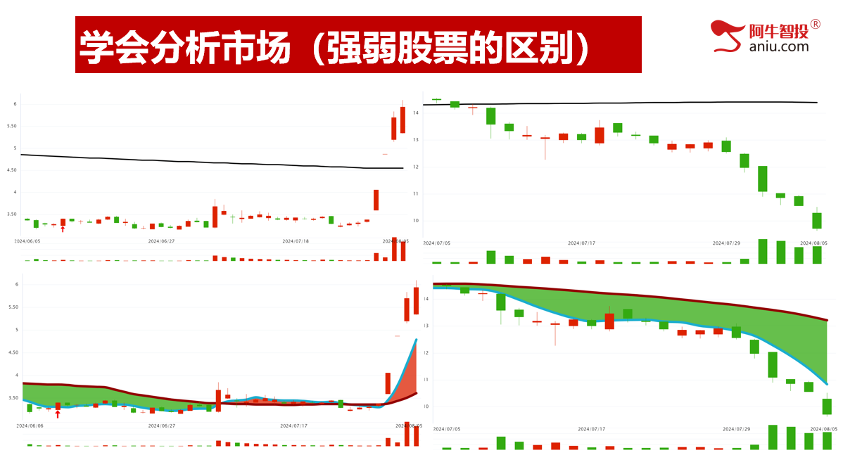 市场再创新低，接下来怎么办？强者恒强依然是主线！