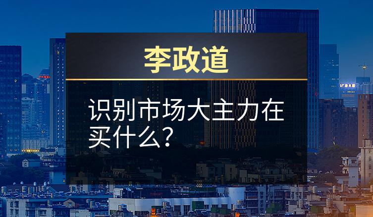 李政道：识别市场大主力在买什么？