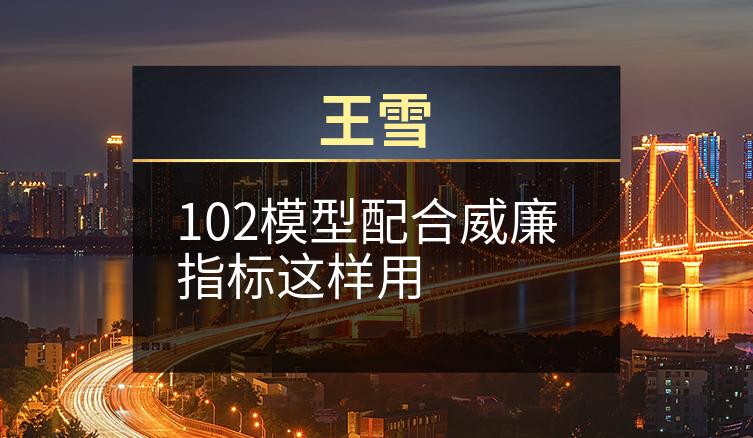 王雪：102模型配合威廉指标这样用