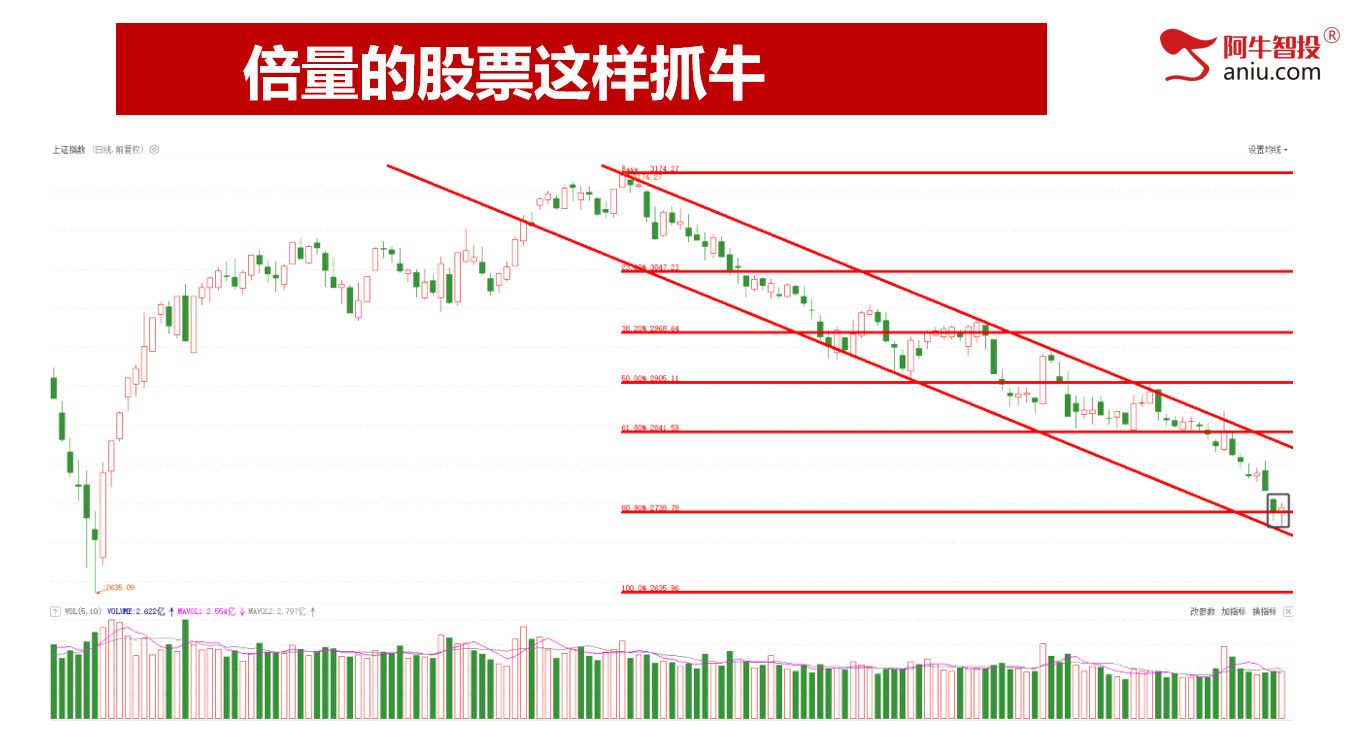 止跌了吗？股票又吃到了板，强庄品种就是牛！