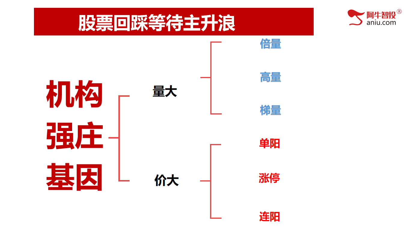 弱势行情唯有强势品种是首选！量大价大是关键！