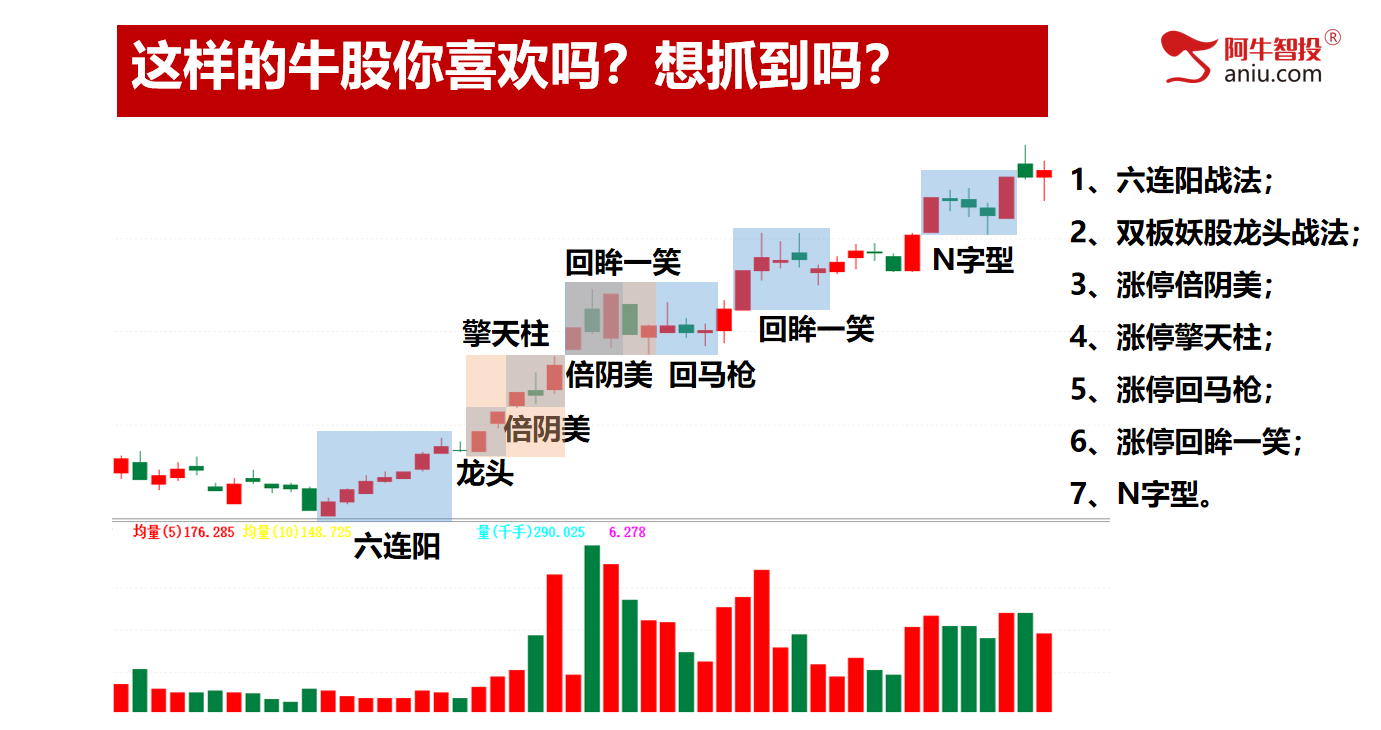 弱势行情唯有强势品种是首选！量大价大是关键！