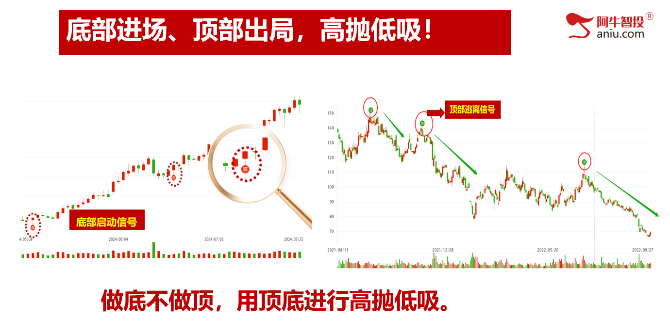 如期放量反弹，近4800只股票上涨，强势的品种这样找！