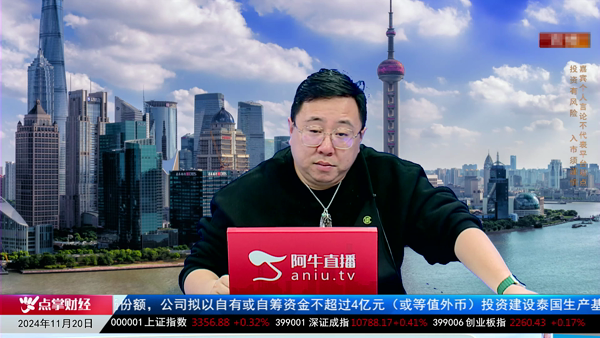 毛利哥：新能源行业转型与技术进步解析
