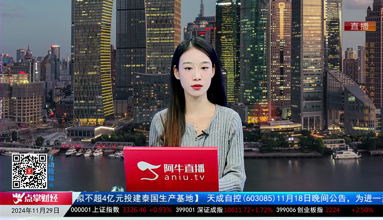 主题投资2024-11-29
