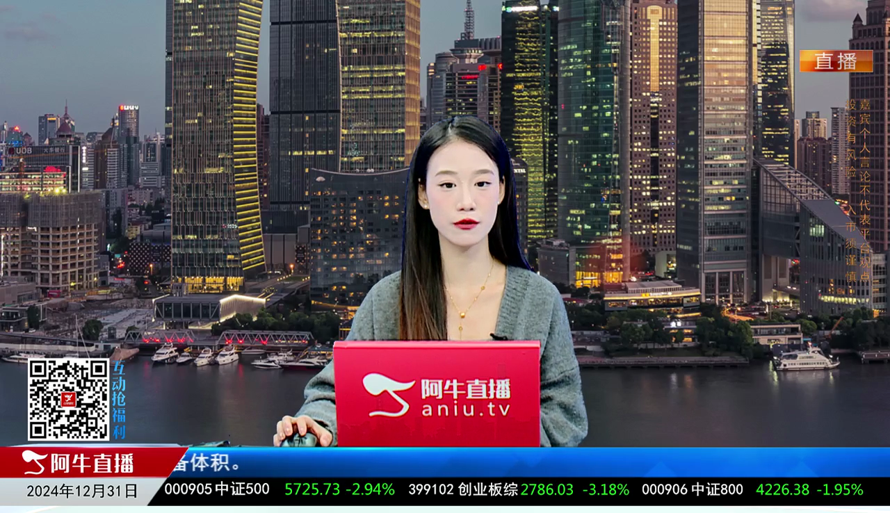 主题投资2024-12-31