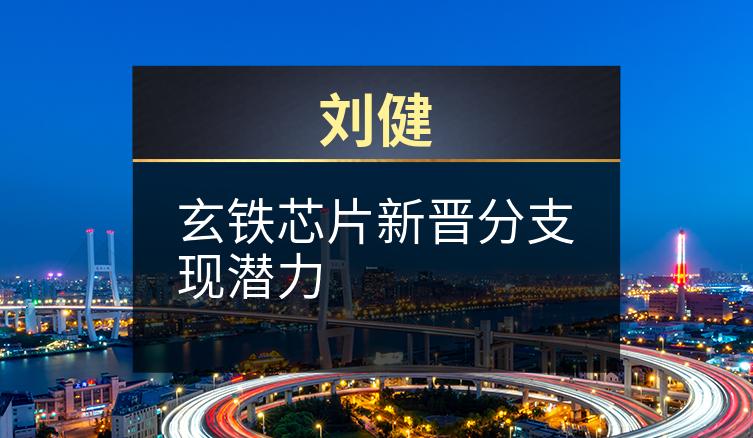 刘健：玄铁芯片新晋分支现潜力