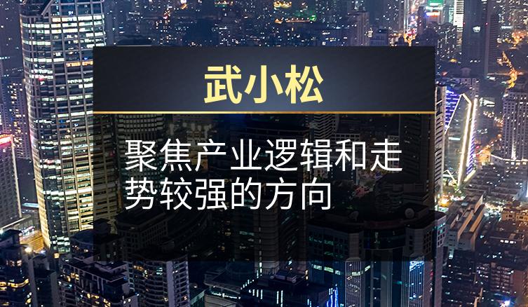 武小松：聚焦产业逻辑和走势较强的方向