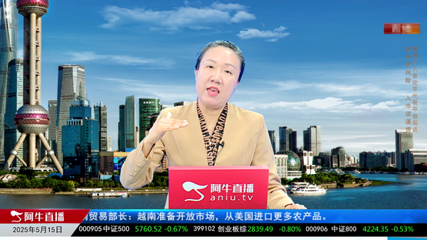 王雪：市场行情将会如何运行？
