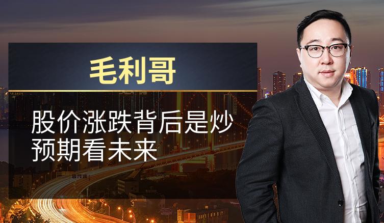 毛利哥：股价涨跌背后是炒预期看未来