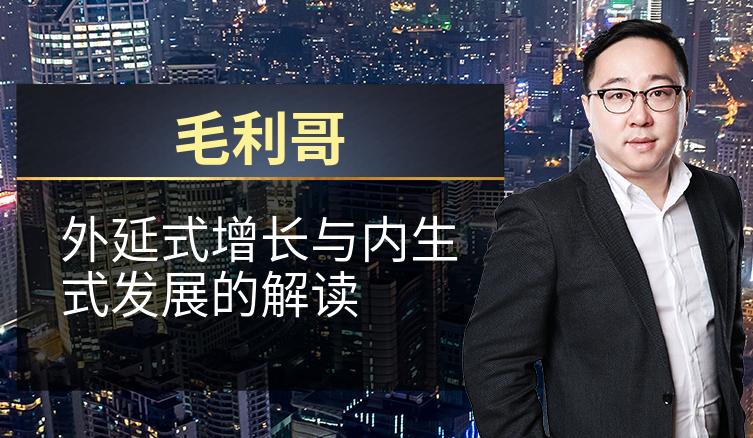 毛利哥：外延式增长与内生式发展的解读