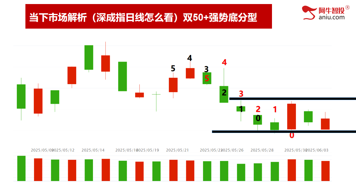 6月份如期开门红，你有期待吗？50模型和9后3的股票全都大涨
