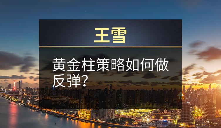 王雪：黄金柱策略如何做反弹？