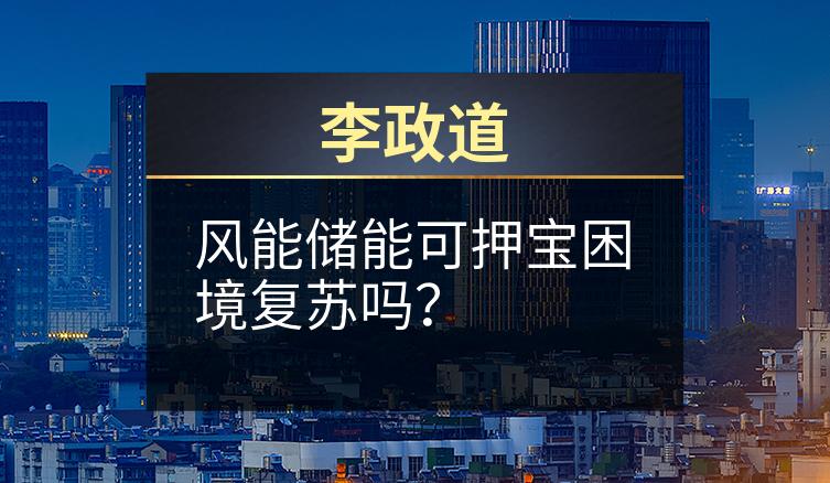 李政道：风能储能可押宝困境复苏吗？