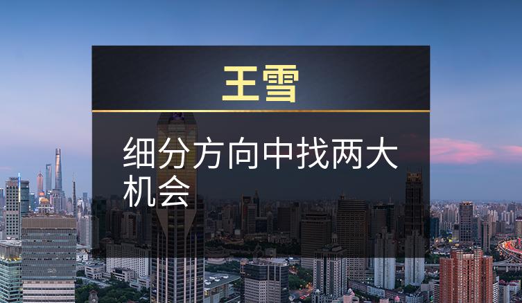 王雪：细分方向中找两大机会