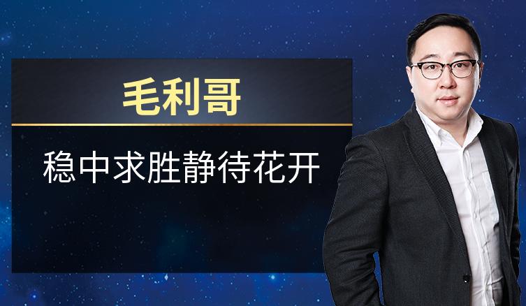 毛利哥：稳中求胜静待花开