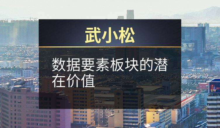 武小松：数据要素板块的潜在价值