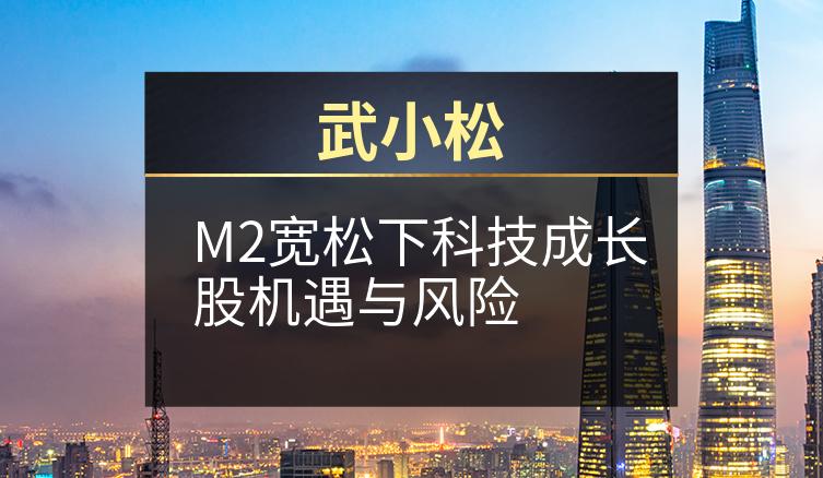 武小松：M2宽松下科技成长股机遇与风险