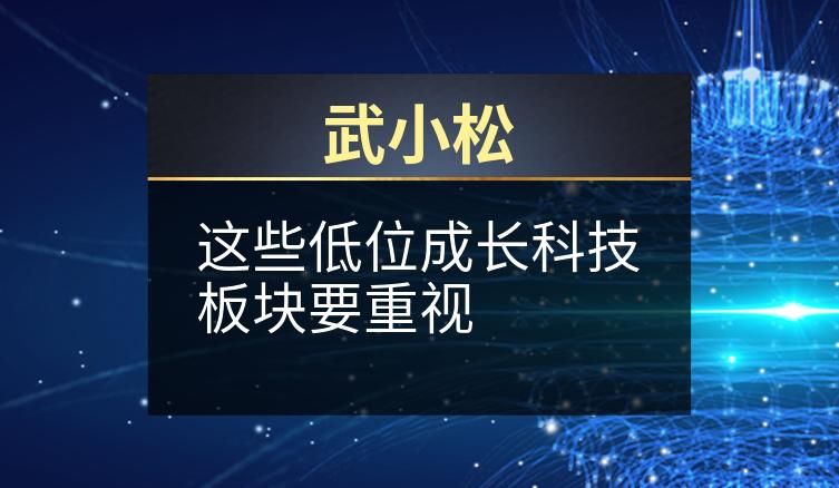 武小松：这些低位成长科技板块要重视
