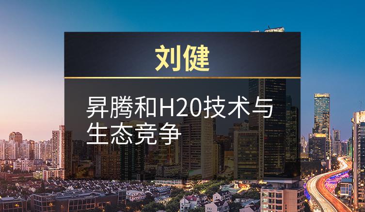 刘健：昇腾和H20技术与生态竞争