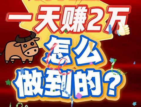 一天赚2万 怎么做到的？