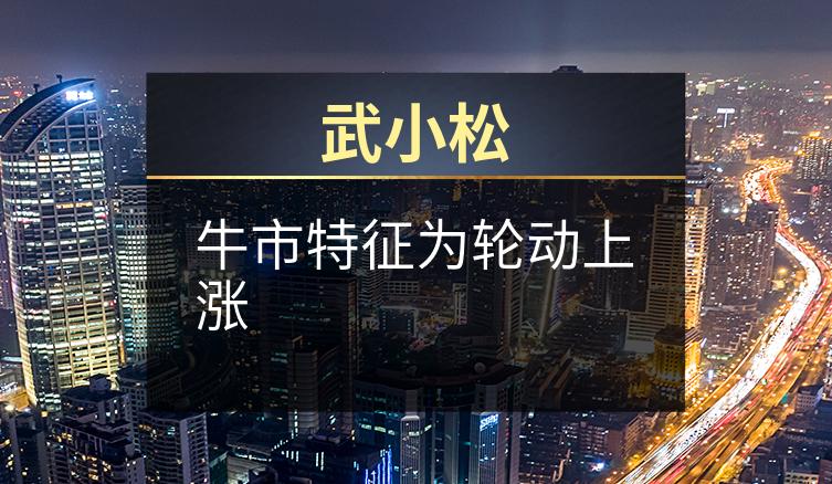 武小松：牛市特征为轮动上涨
