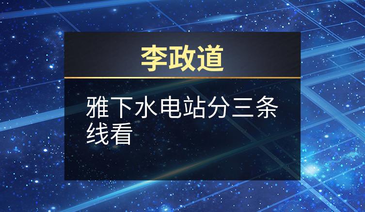 李政道：雅下水电站分三条线看