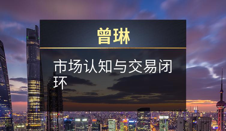 曾琳：市场认知与交易闭环