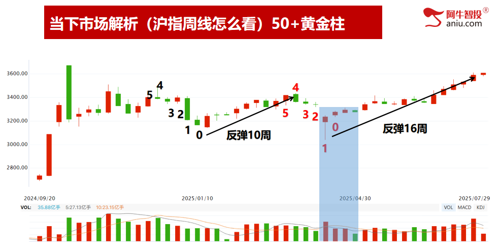 49结构数到9，强者恒强做牛股，这样选股和交易才可持续盈利！