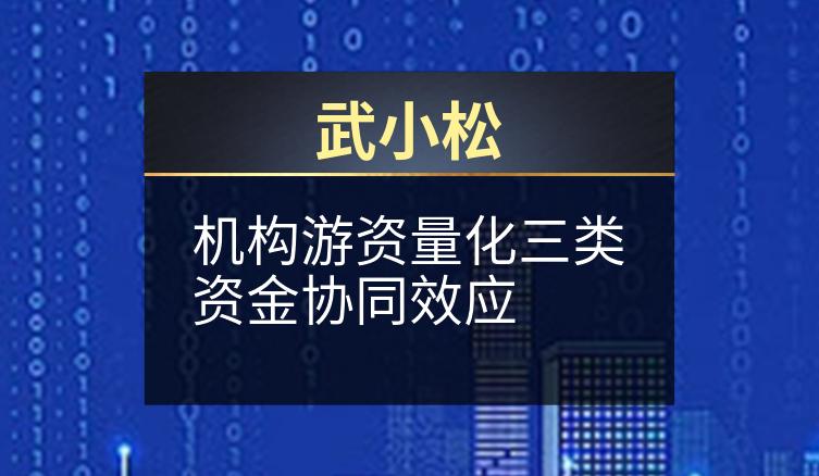 武小松：机构游资量化三类资金协同效应