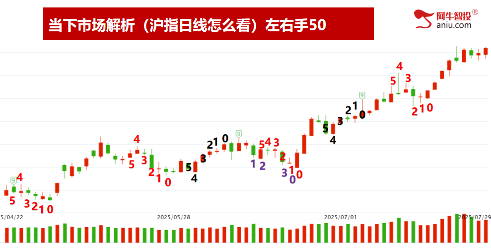 49结构数到9，强者恒强做牛股，这样选股和交易才可持续盈利！