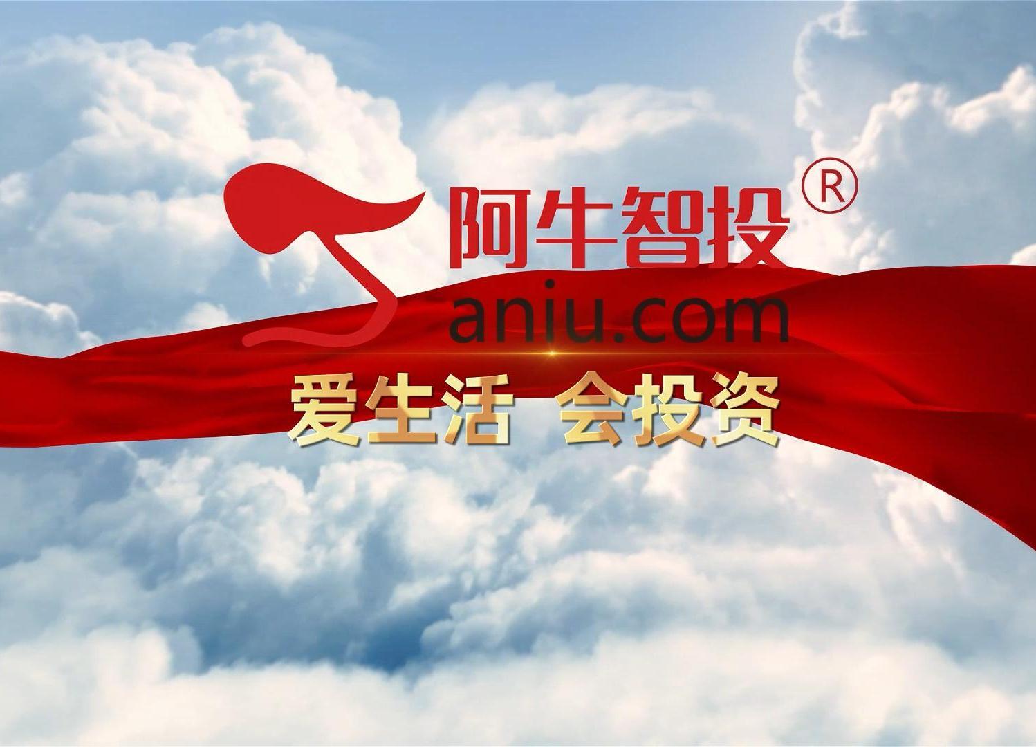 阿牛智投