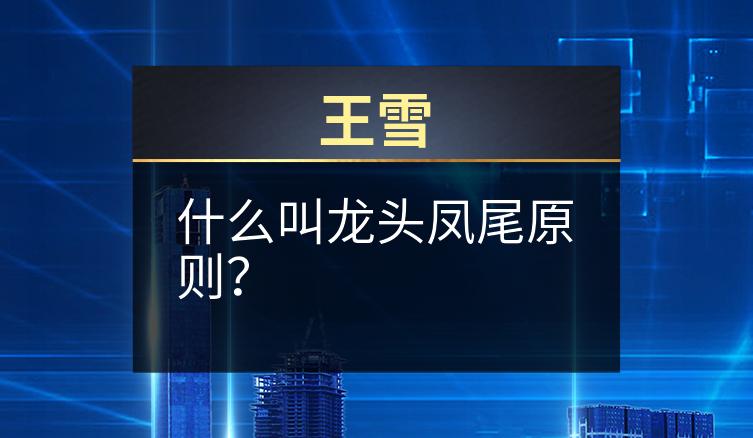 王雪：什么叫龙头凤尾原则？