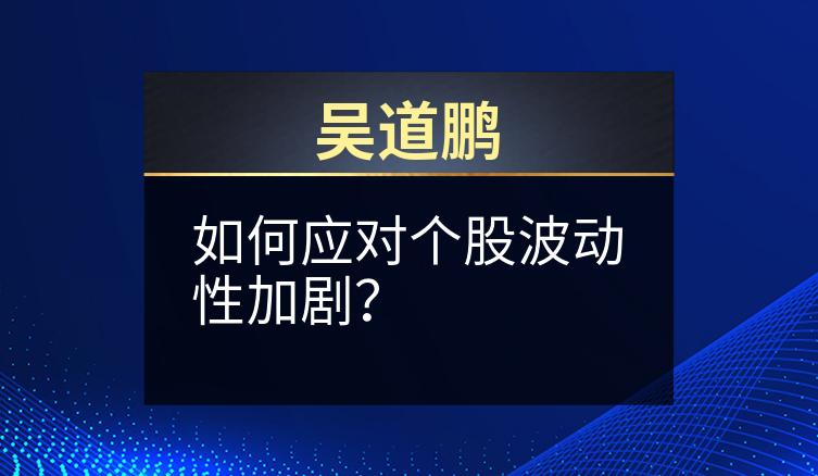 吴道鹏：如何应对个股波动性加剧？