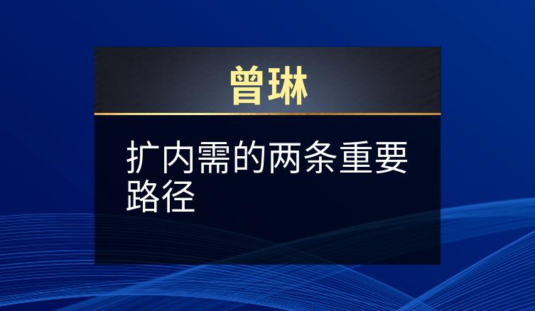 曾琳：扩内需的两条重要路径
