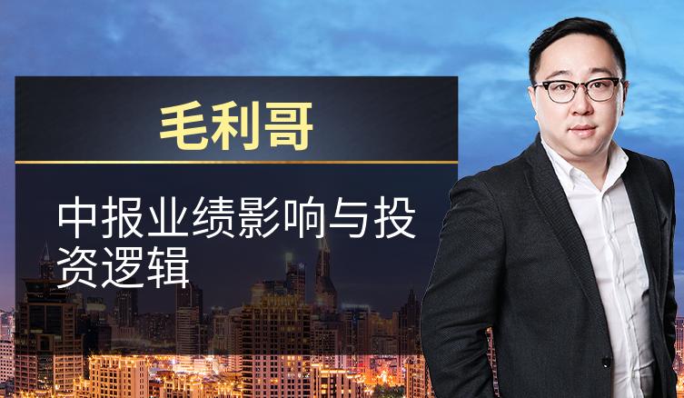 毛利哥：中报业绩影响与投资逻辑
