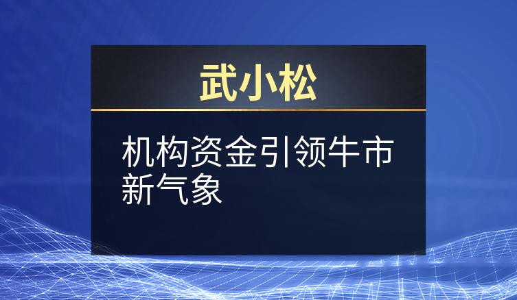 武小松：机构资金引领牛市新气象