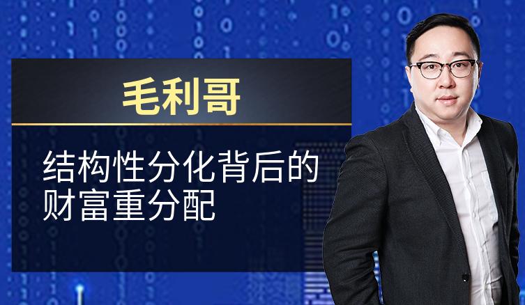 毛利哥：结构性分化背后的财富重分配