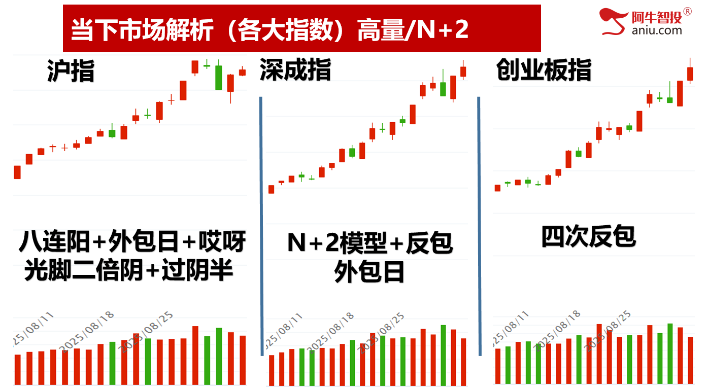 8月收官，这四只牛股你做到了吗？快来报喜！